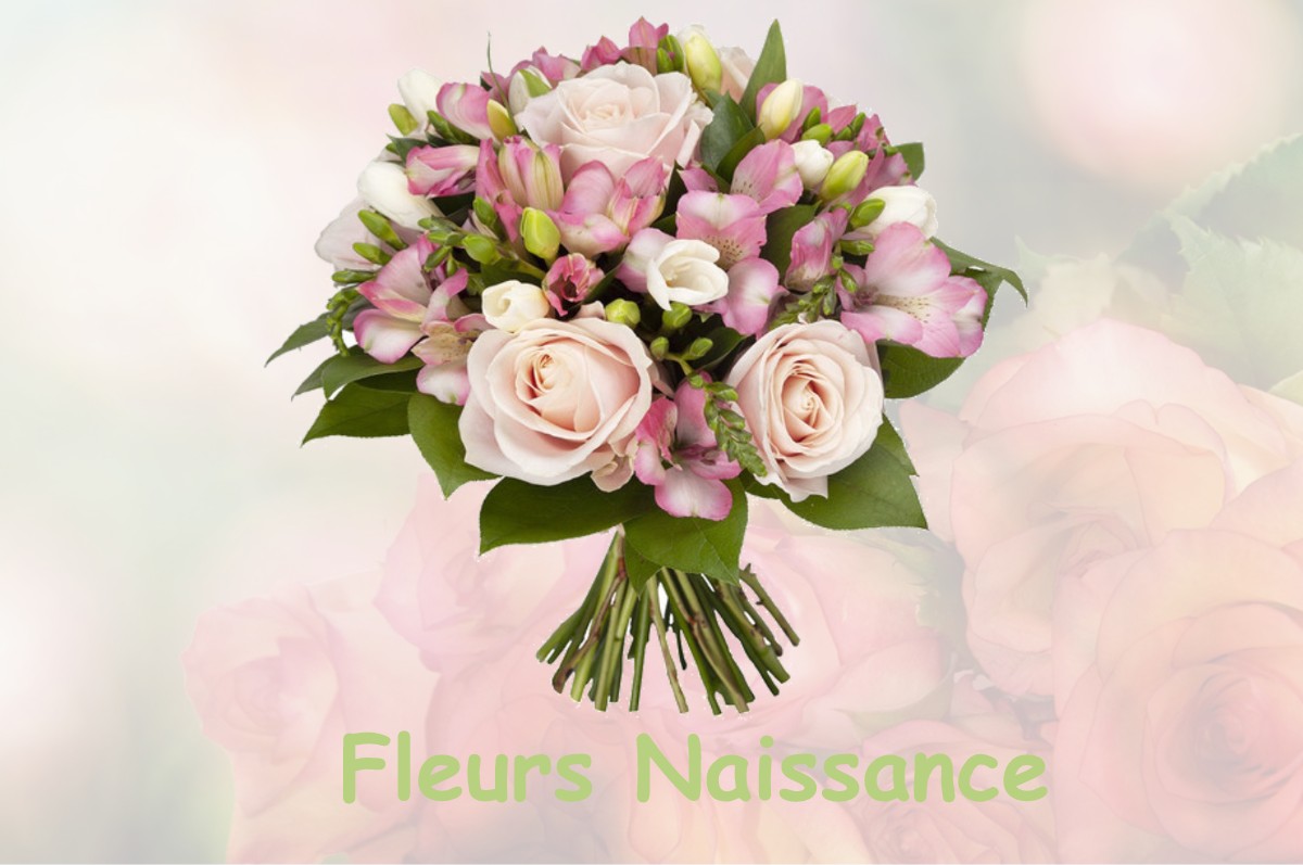 fleurs naissance SOLIGNAC-SUR-LOIRE